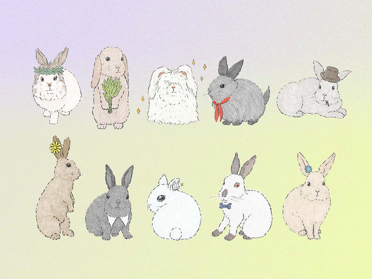 水晶玉子のプレミアムうさぎ占い　3月24日～30日の運勢